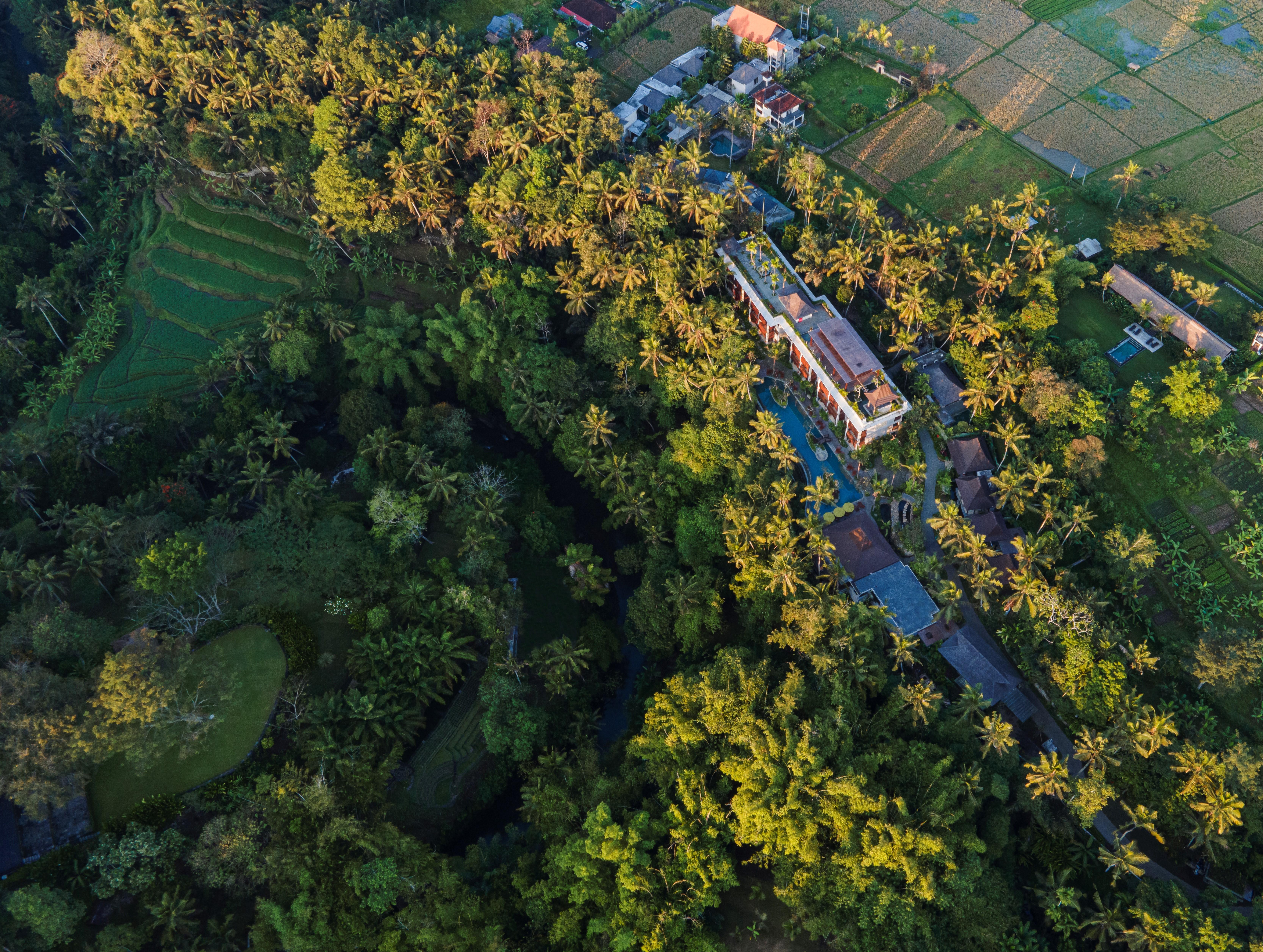 Hotel Arkamara Dijiwa Ubud Exterior foto